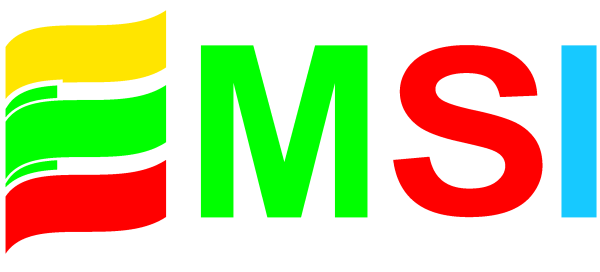 EMSI logo vektorinis - Copy (002)-2